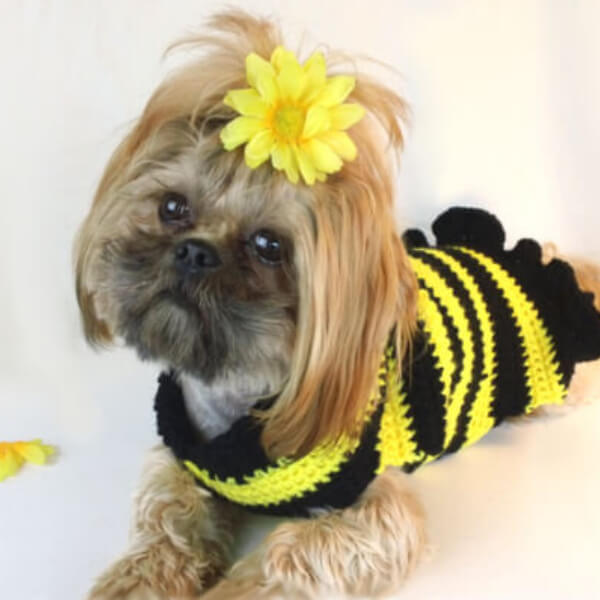 crochet-dog-sweater-pattern-free