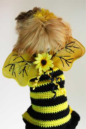 crochet-dog-sweater