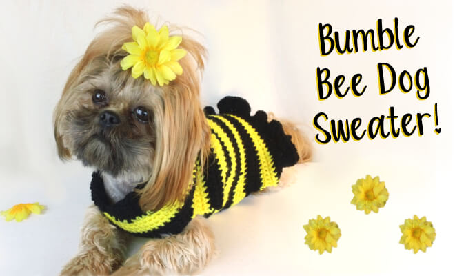 crochet-bumble-bee-dog-sweater
