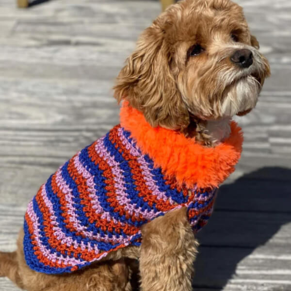 crochet-dog-sweater-pattern-easy