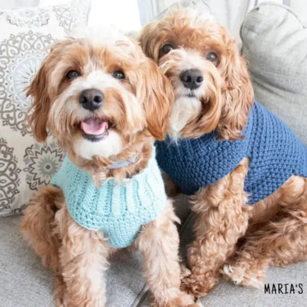 crochet-pullover-dog-sweater