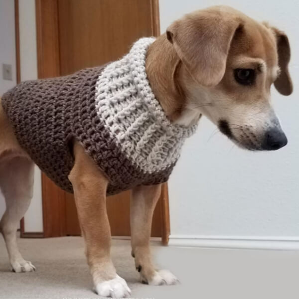 earhart-dog-sweater-crochet-pattern