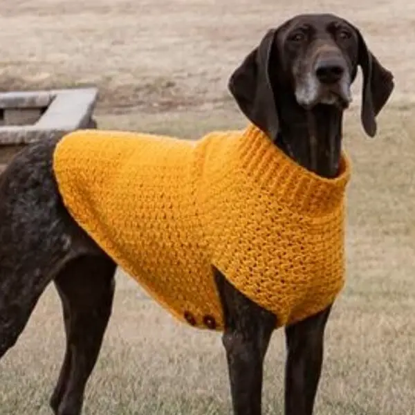 Crochet Dog Sweater Patterns: 15+ Easy Dog Crochet Sweaters